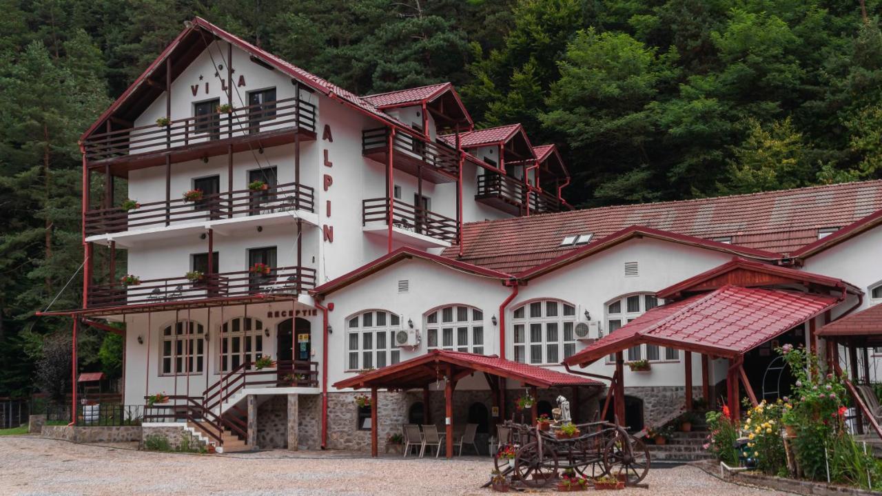 Pensiunea Alpin ปัลตินิช ภายนอก รูปภาพ