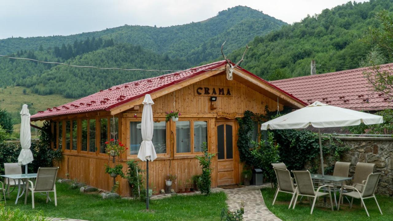 Pensiunea Alpin ปัลตินิช ภายนอก รูปภาพ